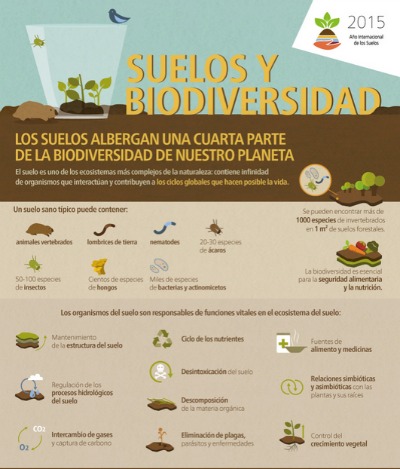 Que organismos hay en el suelo